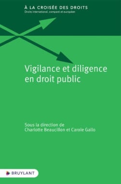 Vigilance et diligence en droit public