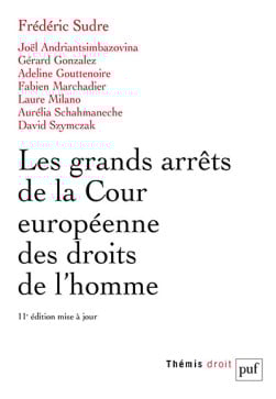 Les grands arrêts de la Cour européenne des droits de l'homme