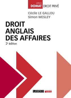 [EBOOK] Droit anglais des affaires