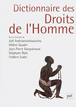 Dictionnaire des droits de l'homme (grand format)