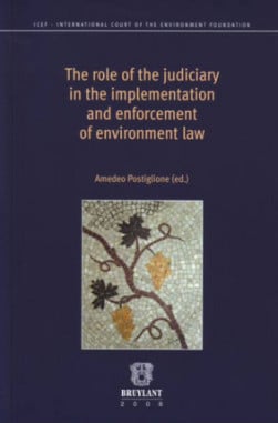 The role of the judiciary in the implementation and enforcement of environment law
