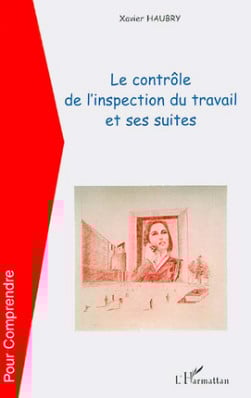 Le contrôle de l'inspection du travail et ses suites