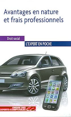 Avantages en nature et frais professionnels