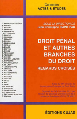 Droit pénal et autres branches du droit