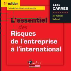 L'essentiel des risques de l'entreprise à l'international