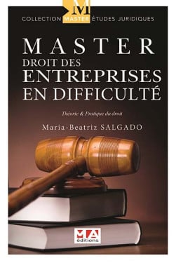 Master droit des entreprises en difficulté