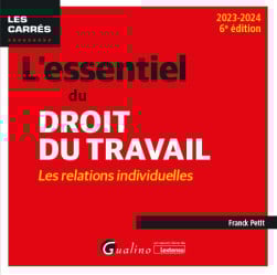 [EBOOK] L'essentiel du droit du travail : les relations individuelles